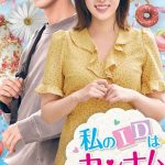 カンナム美女(ドラマ)の動画を見る方法！【無料】私のIDはカンナム美人